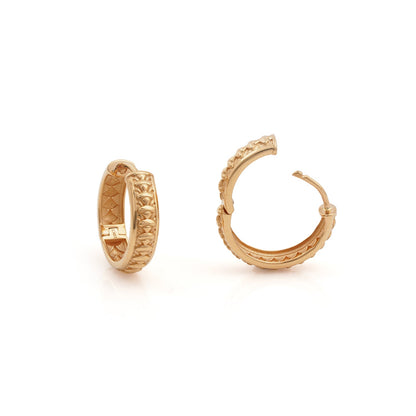 Golden Braided Hoops