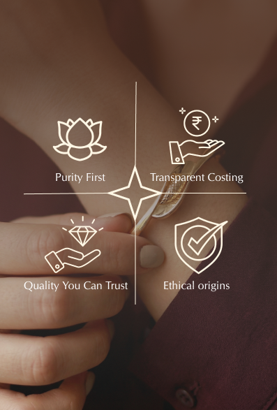 Transparent Pricing Structure